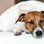 Garner - Mitte By Ihg 4* Berlijn