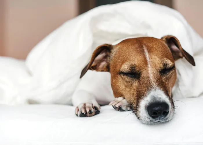 Garner - Mitte By Ihg 4* ベルリン