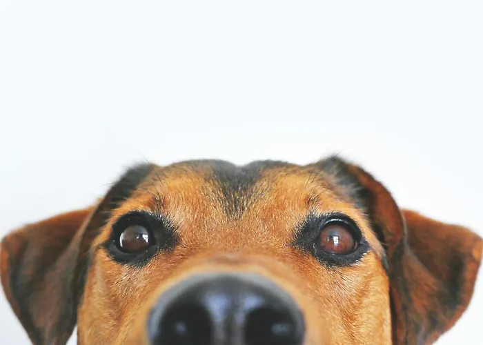 Hotel Garner - Mitte By Ihg Berlin